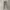 Uniqlo Cargo Grey photo 1
