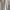 Uniqlo Cargo Grey photo 7