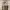 Chino Pants SWL Brown  photo 6