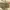 Pew Tactical Multicam Pouch photo 2