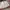 LIFEWORK LONGSLEVEE  photo 4