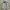 BURBERY ZIP HOODIE GREY photo 3