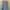 BDU ROK Korea NAVY Original L photo 1