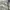 BDU ROK Korea NAVY Original L photo 2