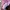 Baby Pink Jacquard Glittered Silk completed photo 3