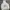 Gildan Streetwear Hoody Pria white photo 3