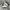 Adidas Casual Sneakers Pria White Blue