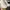 Diadora Casual Sneakers Wanita white photo 4