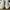 Diadora Casual Sneakers Wanita white photo 3