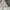 adidas terrex Lightweight packable photo 3