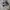 Nike Vintage Sneakers Pria white navy photo 1