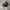 Nike Streetwear Sneakers Pria black photo 2