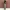 BAGGY PANTS CHINO - SPAO