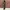 CORDUROY PANTS BAGGY - ARMY photo 2