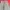 JEANS PANTS - BAON GREY photo 5