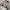 Burberry Vintage Woman Fit Casual Semi Parka Winter Jacket N photo 5