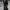 Jacket Vtg 90's Leather (100% Jacket  Genuine Leather) 
 photo 8