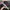 Chanel Vintage Y2K Hat Wanita black photo 4