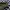 M65 Military Jacket photo 6