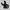 Gorpcore Casual Windbreaker Pria black photo 1