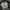 Schott NYC USAF photo 8