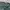 GAP Streetwear Casual Jeans Pria green photo 7