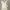 Crop top square neck hnm photo 1