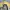 Japanese brand Gorpcore Hat Pria yellow brown photo 2