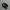 puma suede photo 3