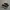 puma suede photo 1