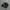 puma suede photo 1
