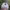 Smart band Xiaomi Band 9 photo 2