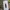 Smart band Xiaomi Band 9 photo 1
