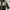 Gorp core TNF // Jacket TNF DERMIZAX photo 6
