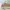 Vintage Knit Scenery Motif Rapido Landscape photo 4