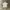 Adidas trefoil photo 1