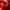 Minimalist Futurist Wanita orange photo 3