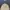 Danton Baseball Cap Hat Cream