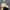 Danton Baseball Cap Hat Cream photo 3