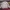 NSA (New States Apparel) Crewneck grey sweater polos photo 6