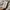 Carhartt Vintage Streetwear Dungaree Pria tan photo 7