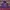 Nike Hoodie purple small swoosh hoodie jaket nike photo 1