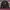 Palace Crewneck Tri Smudge Ferg sweater palace skateboard photo 3