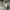 Uniqlo Button Down Shirt kemeja formal photo 4