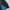 Phenix Softshell Hooded
