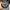 Hard Rock Cafe Vintage Hat Pria blue photo 3