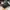 Hard Rock Cafe Vintage Hat Pria black photo 1