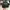 Hard Rock Cafe Vintage Hat Pria black photo 2