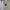 Longsleeve collar shirt (4)/Jack Nicklaus - unisex photo 5