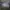 Kaos Dark Souls 3 High Lord Wolnir Digital Sorcery photo 3